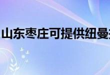 山東棗莊可提供紐曼投影機維修服務(wù)地址在哪