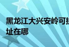 黑龍江大興安嶺可提供科密投影機(jī)維修服務(wù)地址在哪