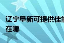 遼寧阜新可提供佳能激光打印機(jī)維修服務(wù)地址在哪