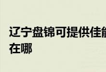 遼寧盤錦可提供佳能噴墨打印機維修服務(wù)地址在哪