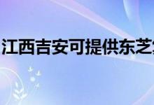 江西吉安可提供東芝復(fù)印機(jī)維修服務(wù)地址在哪