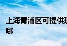 上海青浦區(qū)可提供理光復(fù)印機維修服務(wù)地址在哪