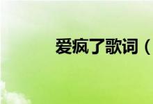 愛瘋了歌詞（愛瘋了dj版歌曲）