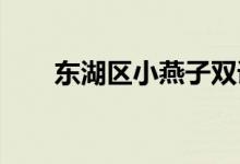 東湖區(qū)小燕子雙語幼兒園的地址在哪