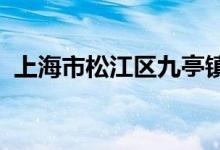 上海市松江區(qū)九亭鎮(zhèn)中心幼兒園的地址在哪