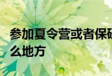 參加夏令營(yíng)或者保研的時(shí)候提交材料作用在什么地方