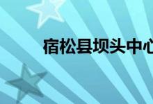 宿松縣壩頭中心幼兒園的地址在哪