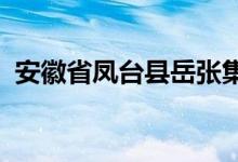 安徽省鳳臺縣岳張集鎮(zhèn)觀音中學的地址在哪