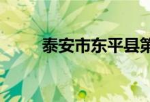 泰安市東平縣第四中學的地址在哪