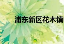 浦東新區(qū)花木鎮(zhèn)中心小學的地址在哪