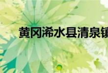 黃岡浠水縣清泉鎮(zhèn)中心中學的地址在哪