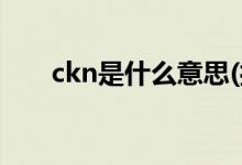 ckn是什么意思(打出ckn到底是什么)