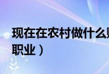 現(xiàn)在在農(nóng)村做什么賺錢(qián)（農(nóng)村9個(gè)比較賺錢(qián)的職業(yè)）