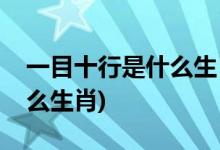 一目十行是什么生肖(一語(yǔ)中特一目十行指什么生肖)