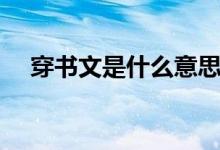 穿書文是什么意思（穿書文意思是什么）