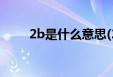 2b是什么意思(2c和2b是什么意思)