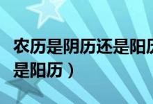 農(nóng)歷是陰歷還是陽歷簡單理解（農(nóng)歷是陰歷還是陽歷）