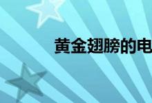 黃金翅膀的電視?。S金翅膀）