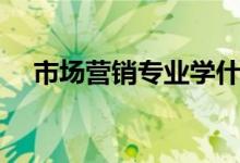 市場營銷專業(yè)學什么（主要課程有哪些）