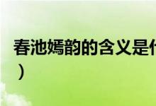 春池嫣韻的含義是什么（春池嫣韻是什么意思）