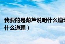 我要的是葫蘆說明什么道理1018無標(biāo)題（我要的是葫蘆說明什么道理）