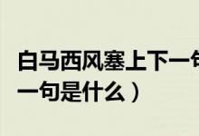 白馬西風(fēng)塞上下一句是什么（白馬西風(fēng)塞上下一句是什么）