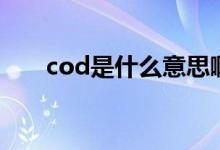 cod是什么意思啊（cod是什么意思）