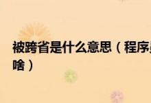 被跨省是什么意思（程序員接私活被跨省程序員外包要注意啥）