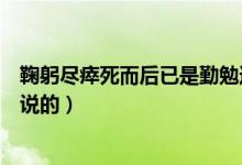 鞠躬盡瘁死而后已是勤勉還是忠誠(chéng)（鞠躬盡瘁死而后已是誰說的）