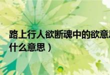 路上行人欲斷魂中的欲意思是什么（路上行人欲斷魂的欲是什么意思）