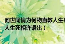 問世間情為何物直教人生死相許圖片（問世間情為何物 直教人生死相許語出）