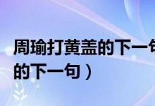 周瑜打黃蓋的下一句諺語(yǔ)歇后語(yǔ)（周瑜打黃蓋的下一句）