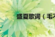 盛夏歌詞（毛不易盛夏完整歌詞）