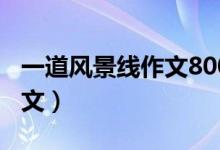 一道風(fēng)景線作文800字字（一道風(fēng)景線作文范文）