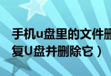 手機(jī)u盤里的文件刪不掉該怎么辦（讓我們修復(fù)U盤并刪除它）