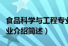 食品科學(xué)與工程專業(yè)介紹（食品科學(xué)與工程專業(yè)介紹簡述）