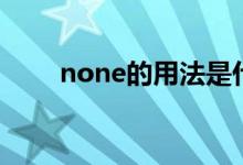 none的用法是什么（none的用法）