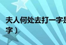 夫人何處去打一字是啥意思（夫人何處去打一字）