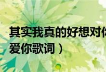 其實我真的好想對你說是什么歌（死心塌地去愛你歌詞）