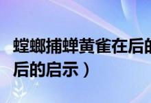 螳螂捕蟬黃雀在后的簡筆畫（螳螂捕蟬黃雀在后的啟示）