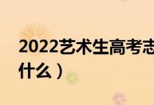 2022藝術(shù)生高考志愿填報(bào)指南（報(bào)考技巧是什么）