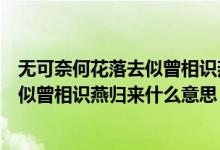 無可奈何花落去似曾相識燕歸來什么修辭（無可奈何花落去似曾相識燕歸來什么意思）