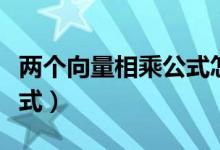 兩個向量相乘公式怎么區(qū)分（兩個向量相乘公式）