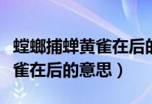 螳螂捕蟬黃雀在后的意思是什么（螳螂捕蟬黃雀在后的意思）