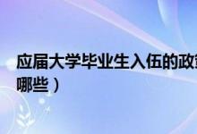 應屆大學畢業(yè)生入伍的政策（應屆大學畢業(yè)生入伍的政策有哪些）