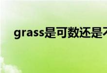 grass是可數(shù)還是不可數(shù)（grass可數(shù)嗎）