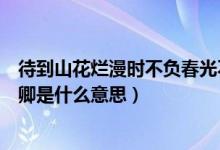 待到山花爛漫時(shí)不負(fù)春光不負(fù)卿是什么意思（不負(fù)春光不負(fù)卿是什么意思）