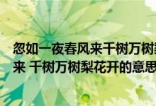 忽如一夜春風來千樹萬樹梨花開表達了什么（忽如一夜春風來 千樹萬樹梨花開的意思）