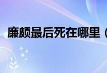 廉頗最后死在哪里（廉頗怎么死的 死在哪）