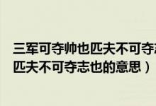 三軍可奪帥也匹夫不可奪志也出自哪部典籍（三軍可奪帥也匹夫不可奪志也的意思）